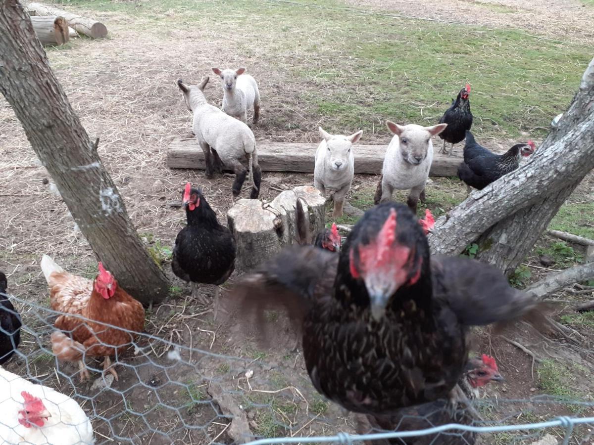 The Byre North End Farm Bed and Breakfast Ashton Keynes Εξωτερικό φωτογραφία